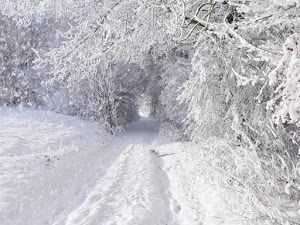 papel pintado de invierno 38