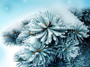 invierno-39-fondo-de-escritorio