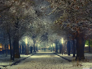 papel pintado de invierno 40