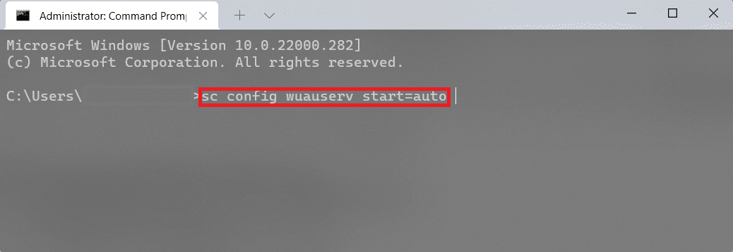 escriba el comando de inicio automático wuauserv en el símbolo del sistema