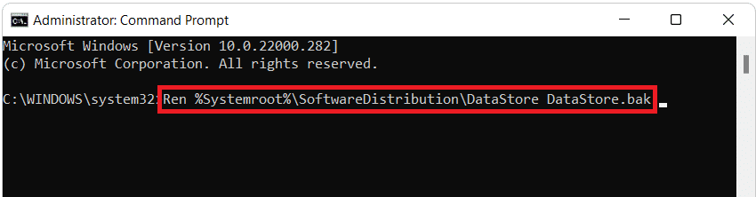 escriba el comando de cambio de nombre dado en el símbolo del sistema