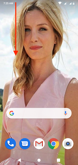 Deslizar hacia abajo desde la parte superior de la pantalla revela la configuración rápida