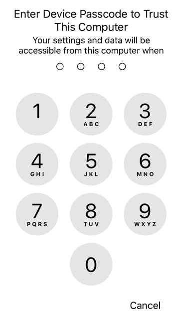 iPhone pide un PIN