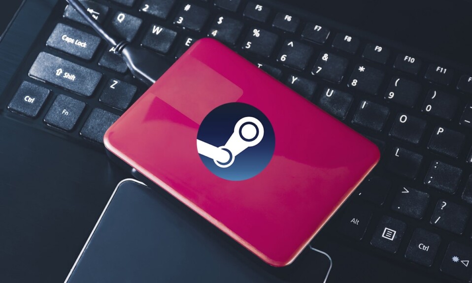 Cómo hacer una copia de seguridad de los juegos de Steam