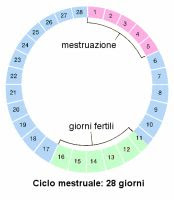 Las-mejores-aplicaciones-y-sitios-para-calcular-su-ciclo-menstrual.jpg