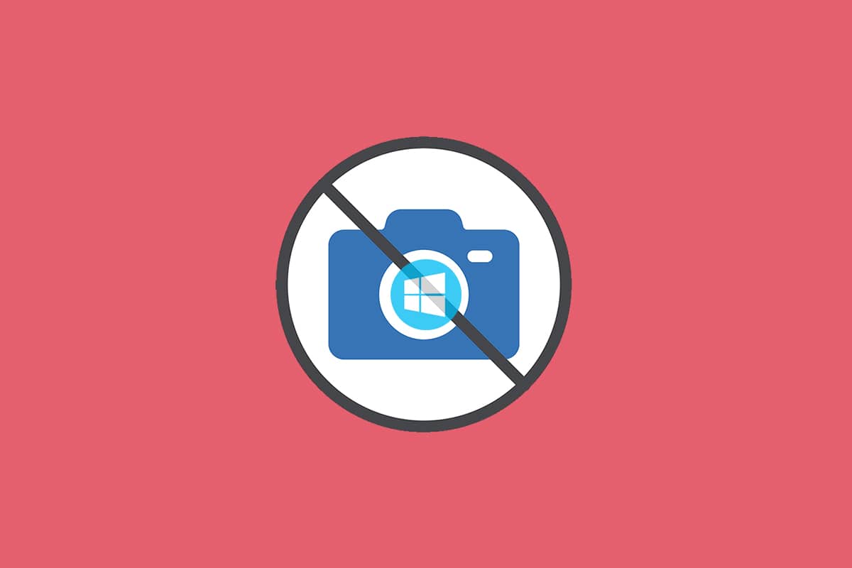 Arreglar 0xC00D36D5 No hay cámaras conectadas en Windows 10