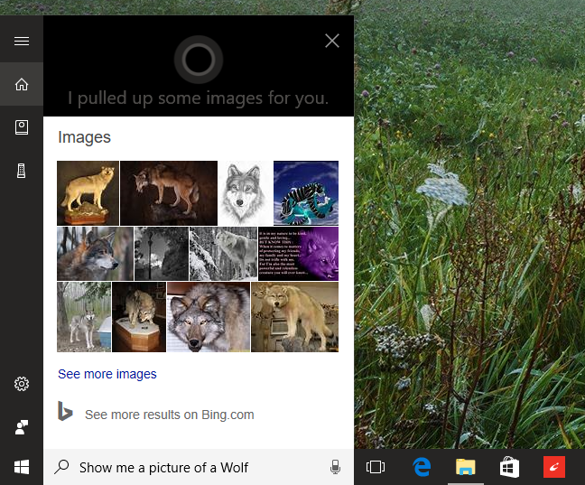 Cortana, preguntas, comandos, Windows 10