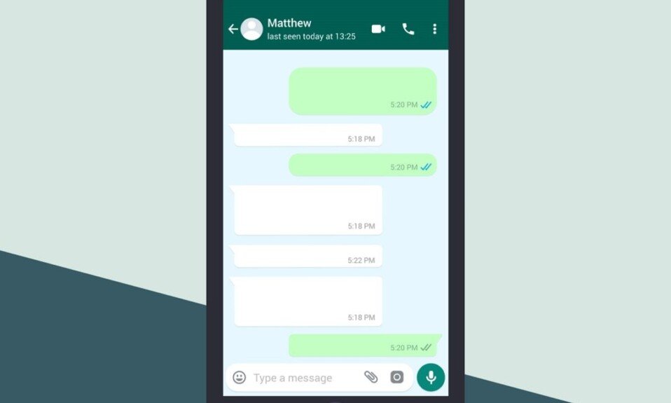 ¿Cómo verificar si alguien está en línea en Whatsapp sin estar en línea?