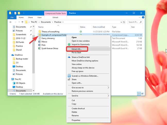 Extraiga todo de una carpeta comprimida (en zip) en Windows