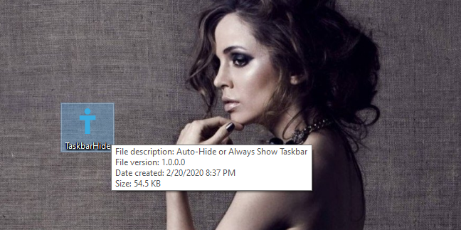 El archivo ejecutable TaskbarHide de Digital Citizen