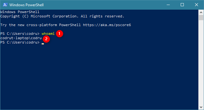El comando whoami en PowerShell proporciona su nombre de usuario