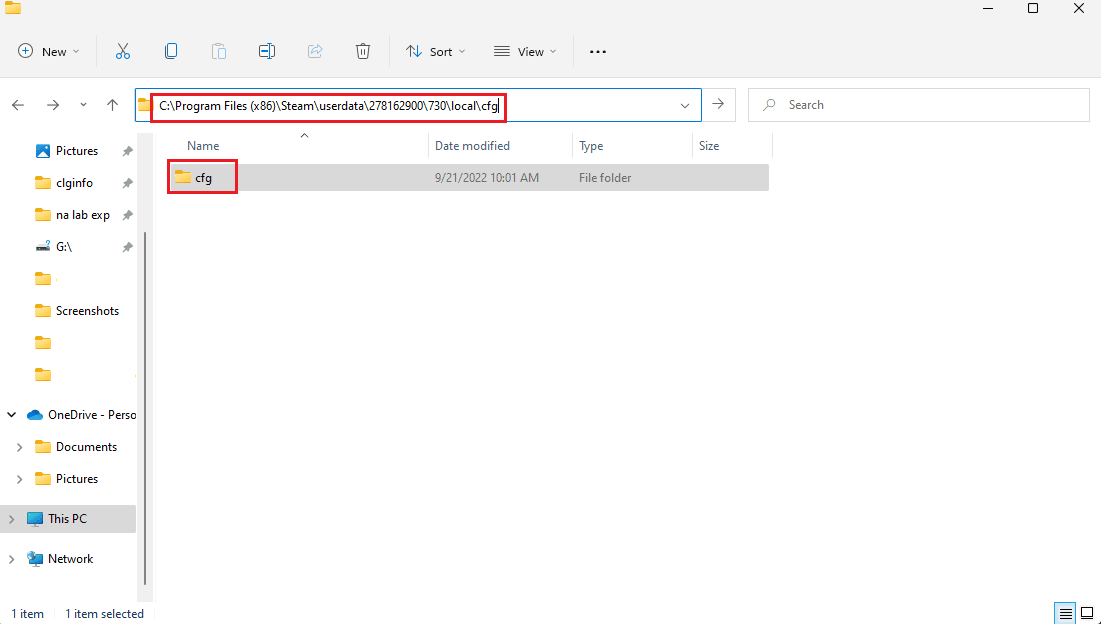 carpeta cfg de datos de usuario de Steam