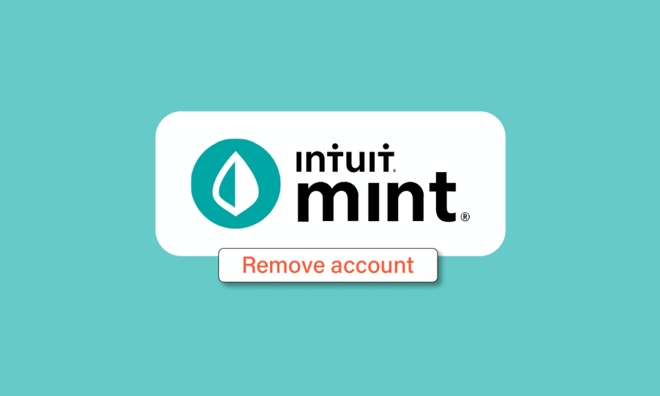 Cómo eliminar una cuenta de Mint
