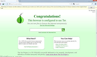 Programa Navegador Tor