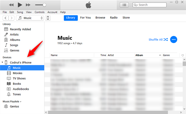 Carpetas de iPhone mostradas en iTunes
