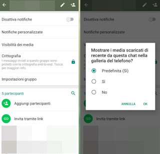Chat grupal o individual