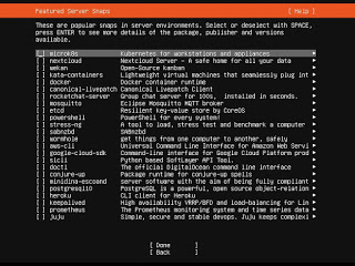 Instantáneas de Ubuntu siesta