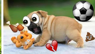 Etiqueta engomada de la foto de emoji
