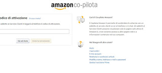 asistencia de copiloto