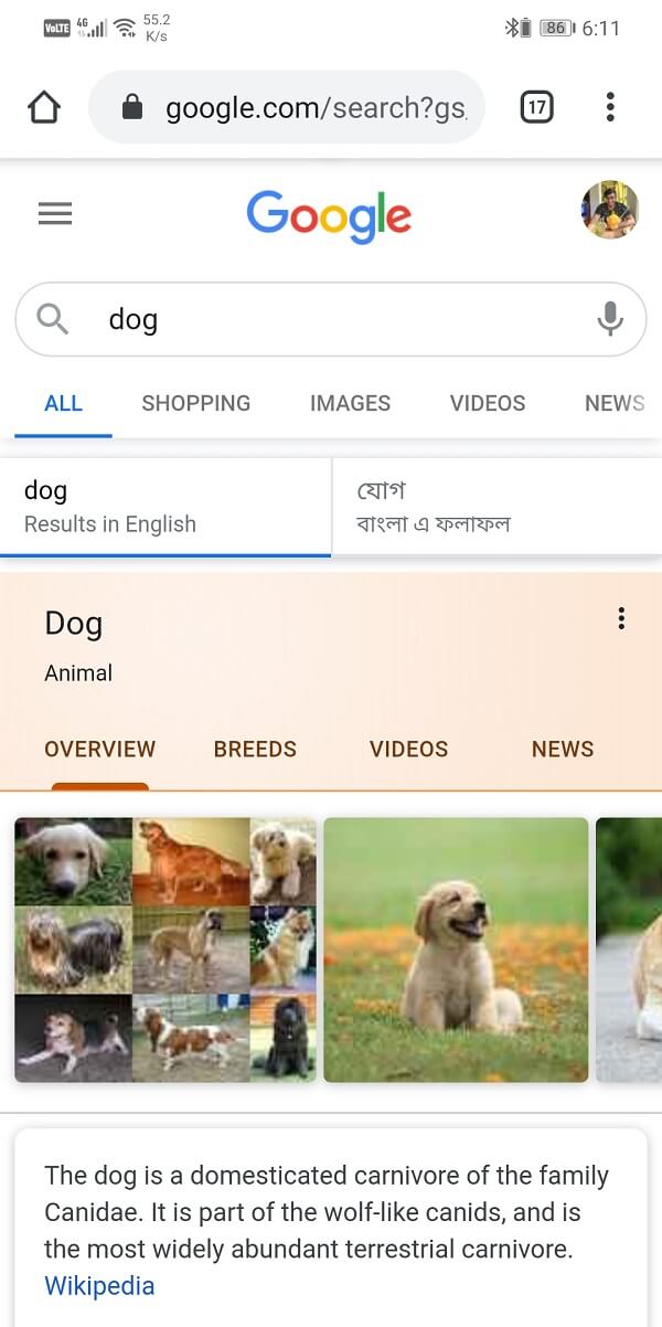 Busca cualquier imagen en google