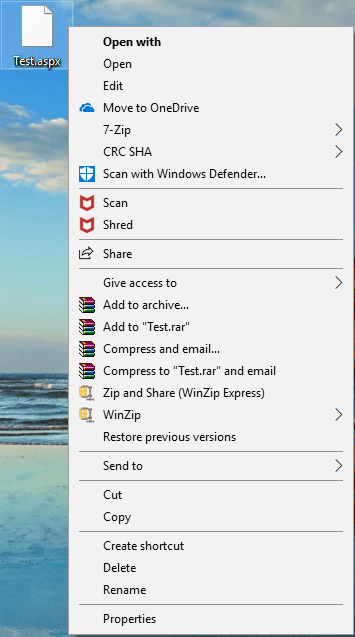 Haga clic derecho en su archivo de extensión .aspx