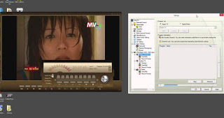 programa AVerMedia