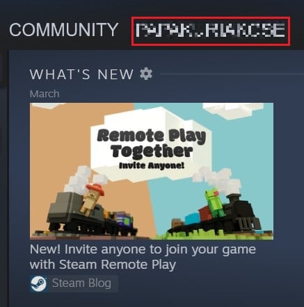 Haz clic en el nombre de usuario de tu perfil de Steam | Cómo ocultar la actividad de Steam de los amigos