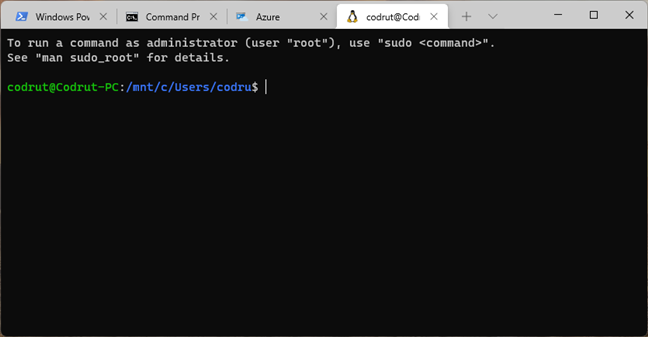Varias aplicaciones de línea de comandos cargadas en Windows Terminal