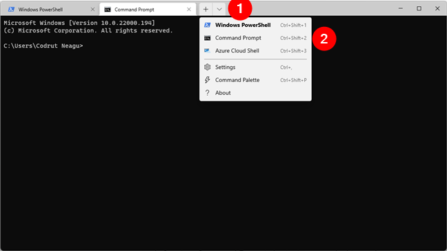 Abrir CMD en la Terminal de Windows