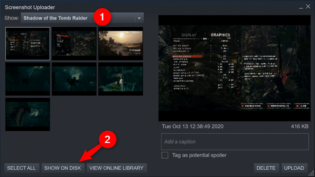 Mostrar en disco en el cargador de capturas de pantalla de Steam