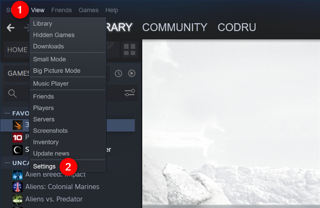 La entrada de Configuración del menú Ver de Steam
