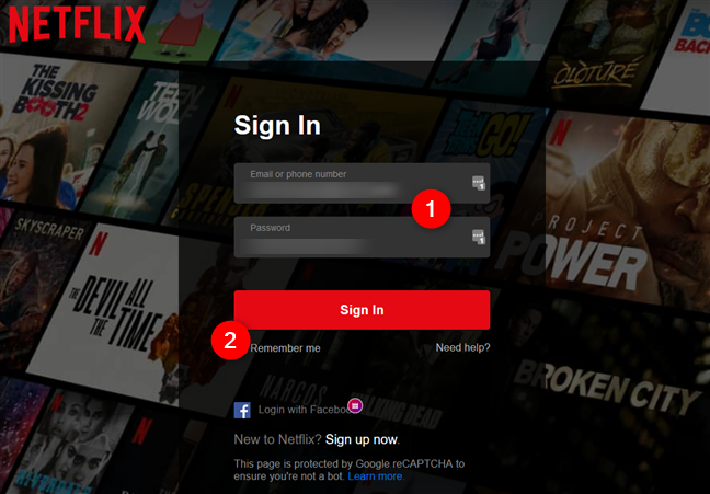 Introduce las credenciales de Netflix