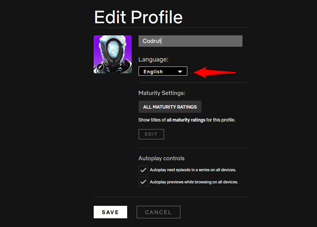 La configuración de idioma de un perfil de Netflix