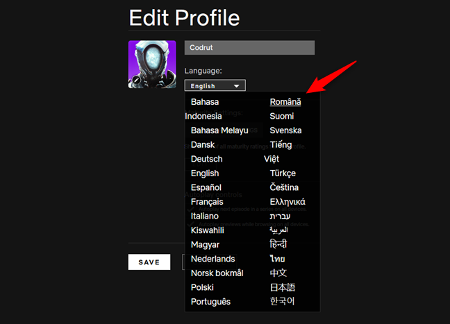 Seleccionar un idioma para un perfil de Netflix