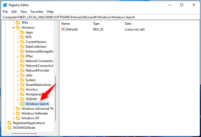 Nombrar la clave Búsqueda de Windows