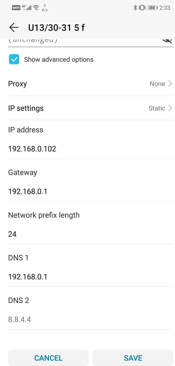Edite la configuración de DNS.  Ingrese 