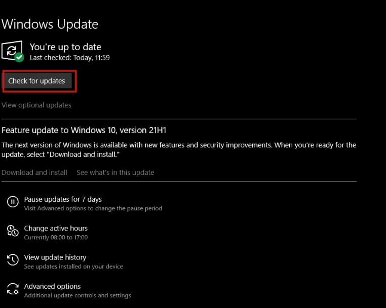 A continuación, haga clic en Buscar actualizaciones.  Cómo arreglar líneas en la pantalla del portátil