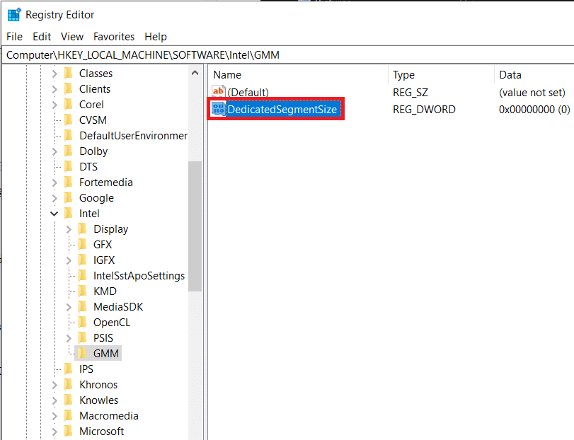 Cambie el nombre del DWORD que acaba de crear a DedicatedSegmentSize