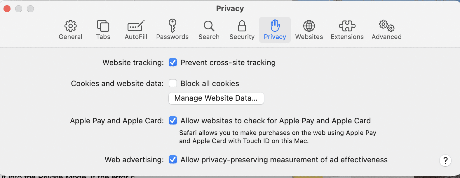 Haga clic en Privacidad y luego haga clic en el botón Administrar datos del sitio web.  Arreglar esta conexión no es privada