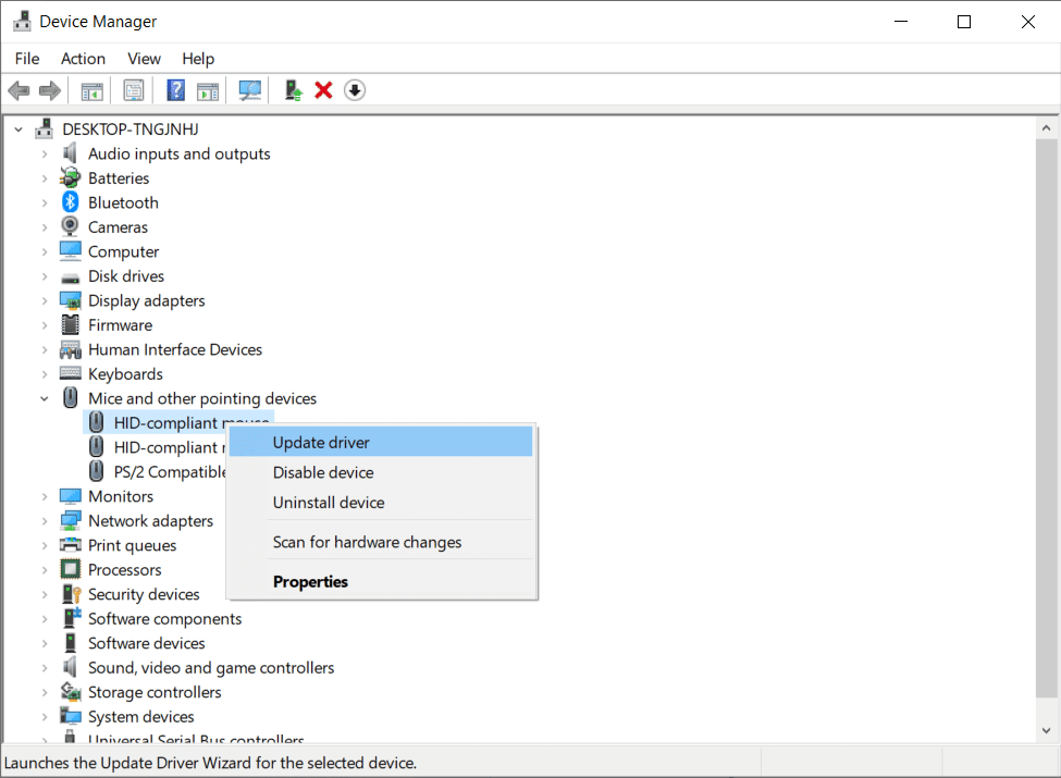 Vaya a la sección Ratón y seleccione el ratón que está utilizando.  Haga clic derecho sobre él para seleccionar la opción Actualizar controlador.