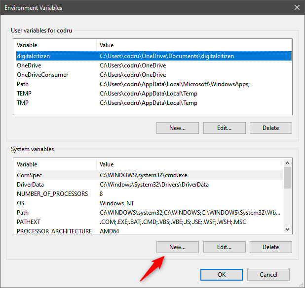 Comenzando el proceso de creación de una nueva variable de sistema de Windows