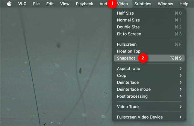 En la versión macOS de VLC, guarde el cuadro con la opción Instantánea