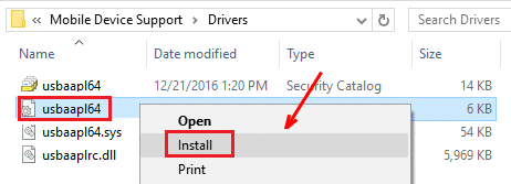 Instale el archivo usbaapl64.inf o usbaapl.inf desde Drivers
