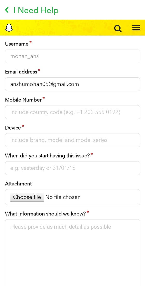 Complete el formulario restante con detalles precisos