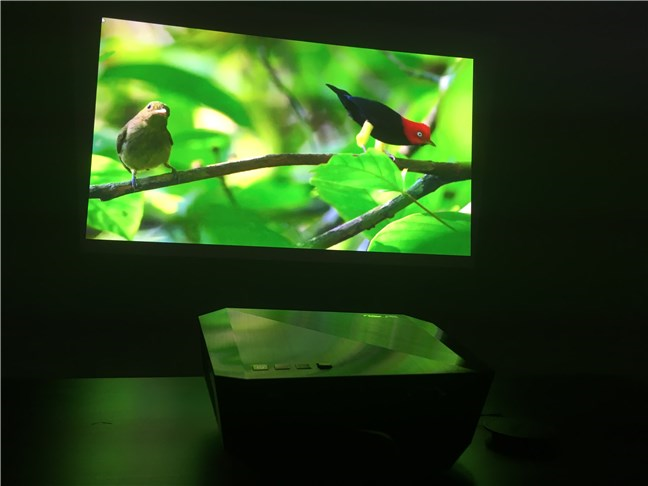 Ver un documental sobre el proyector ASUS F1 Full HD LED