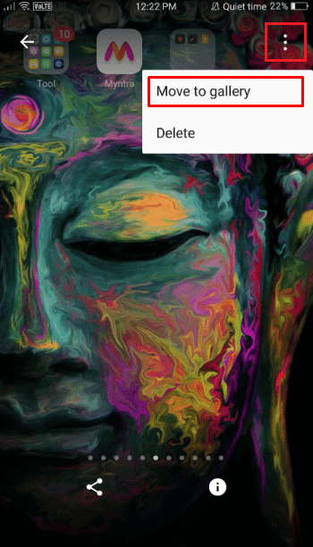 Abra las Capturas de pantalla privadas y toque el ícono de tres puntos - Mover a la opción de galería para guardarlo |  ¿Cómo haces capturas de pantalla en secreto de Snapchats?