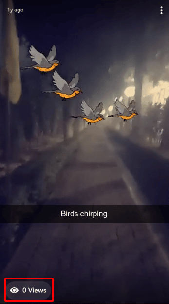   Ahora toque en la esquina inferior izquierda de su historia para ver la lista de usuarios que vieron sus historias y las capturaron. 