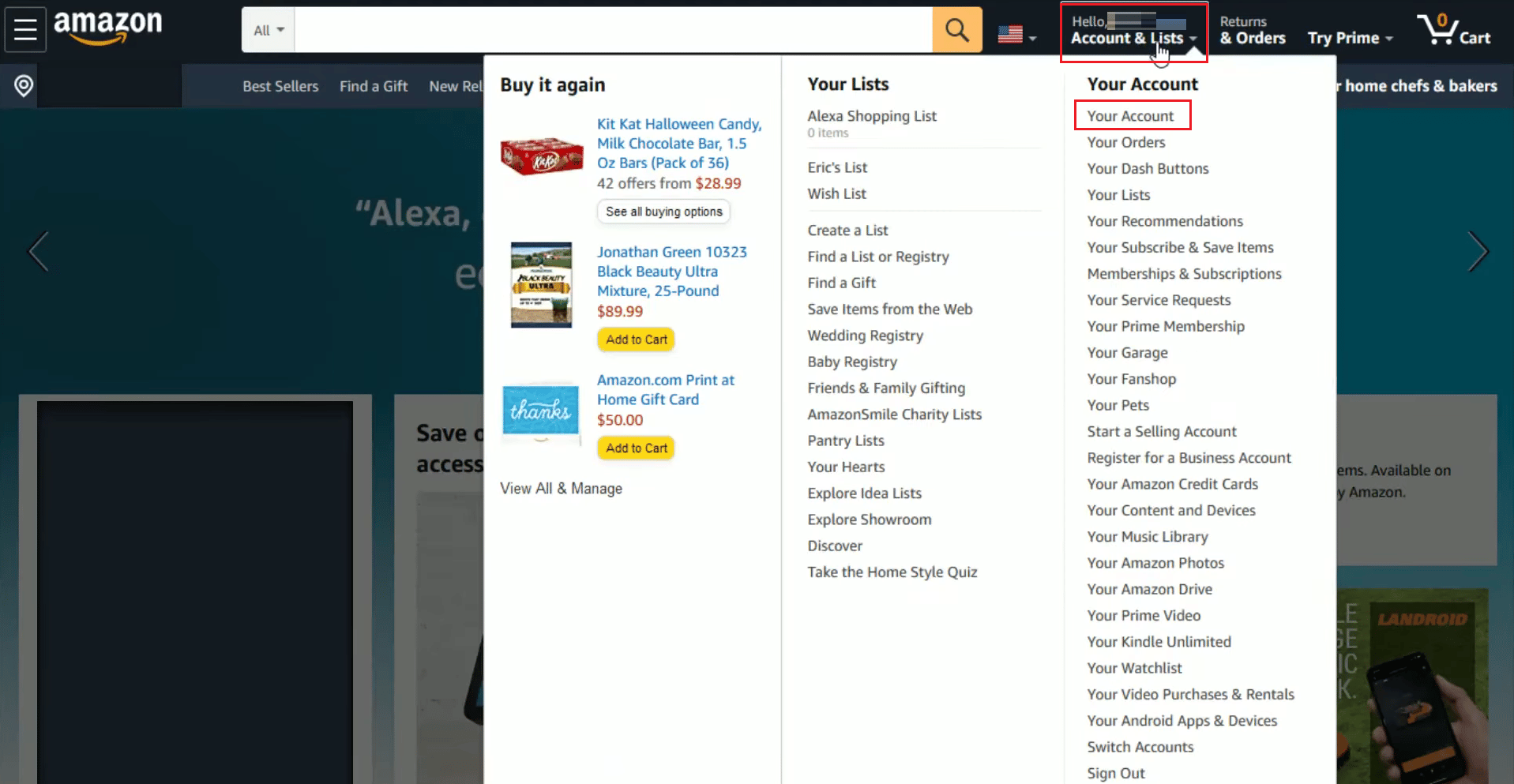Haga clic en Cuenta y listas - Su cuenta