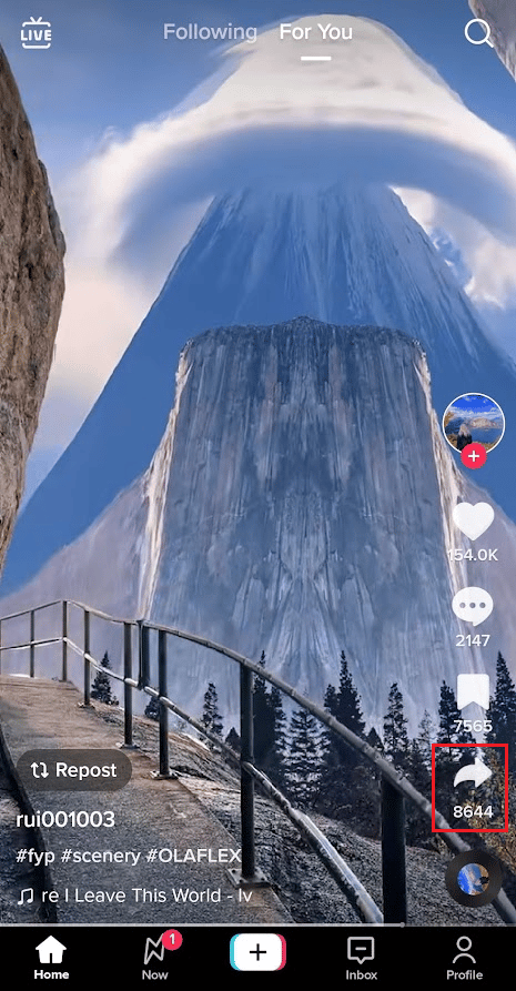 Toque el icono Compartir |  Cómo ver puntadas en TikTok