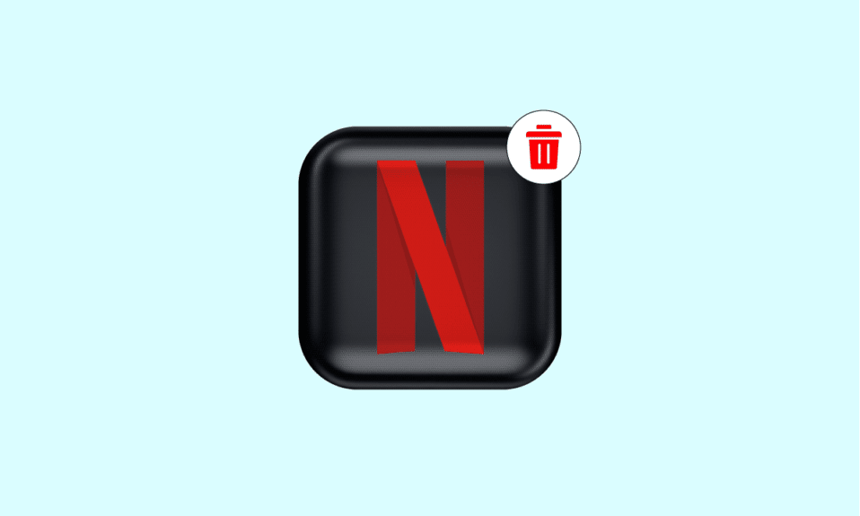 ¿Cómo eliminas permanentemente tu cuenta de Netflix?